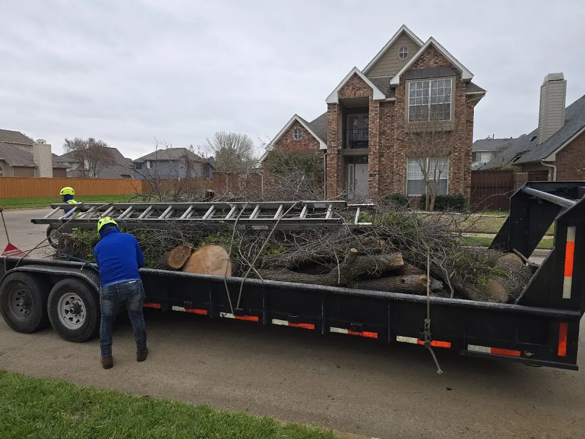 Expert Tree Pest Control with proper safety equipment in Sparland